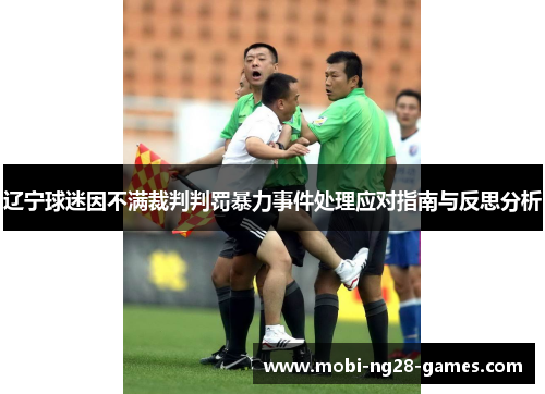 辽宁球迷因不满裁判判罚暴力事件处理应对指南与反思分析