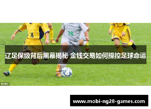 辽足保级背后黑幕揭秘 金钱交易如何操控足球命运